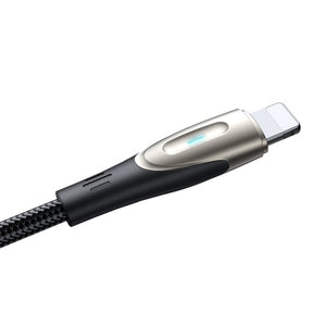 SA27-CC5 100W Data Cable (C T C) 1.2m
